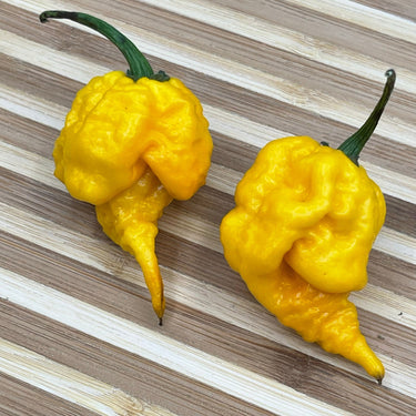 7 Pot Primo Yellow - Seeds - The Pepper Pantry (Formerly Marie Sharp's)
